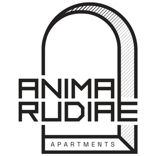 anima-rudiae-2025-LOGO-2