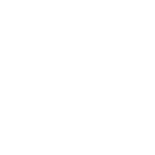 anima-rudiae-2025-LOGO-2_b